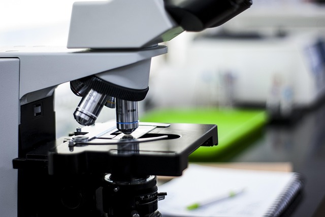 聚氨酯環(huán)保有機(jī)鉍催化劑在聚氨酯彈性體中的應(yīng)用，確保固化速度和力學(xué)性能的穩(wěn)定。