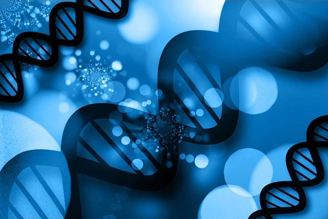 低氣味催化劑在聚氨酯膠粘劑和密封劑中的應(yīng)用，提供快速固化且無(wú)殘留氣味。